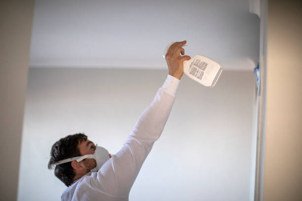 Best Mold Removal Company Near Me  in Carrier Mls, IL