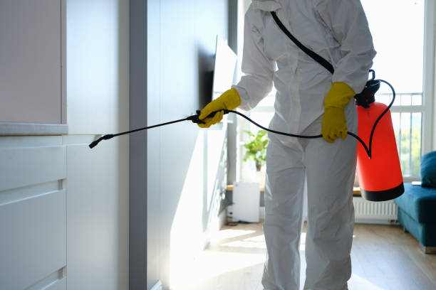 Best Certified Mold Removal  in Carrier Mls, IL